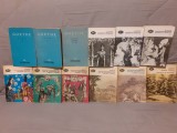 FAUST/SUFERINTELE TANARULUI WERTHER/ANII DE UCENICIE/DRUMETIE AI LUI WILHELM MEISTER/HERMANN&amp;DOROTHEA/REINEKE VULPOIUL/POEZIE SI ADEVAR-GOETHE