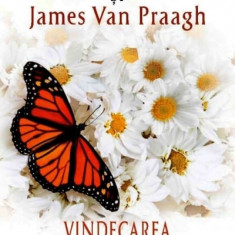 Vindecarea unei inimi ndoliate - doreen virtue james van praagh carte