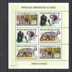 DR CONGO 2003 FAUNA ANIMALE SALBATICE HIPOPOTAMI ELEFANTI GORILE