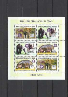 DR CONGO 2003 FAUNA ANIMALE SALBATICE HIPOPOTAMI ELEFANTI GORILE foto