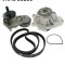 SKF VKMC 35260 Pompa apa + Set curea transmisie cu caneluri