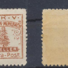 BISTRA Posta Locala 1907 timbru 6 helleri cu guma originala cu sarniera