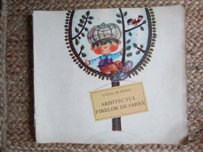Arhitectul firelor de iarba - Lucia Olteanu, 1980