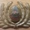 QW14 - Emblema militara / cuc - comunism - aviatie - varianta mica