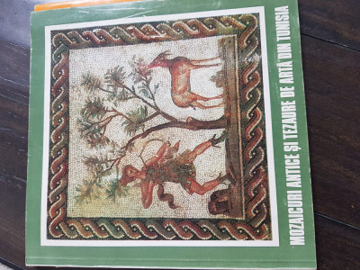 Mozaicuri antice si tezaure de arta din tunisia Am foto