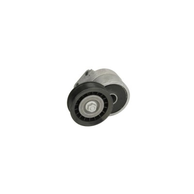 Intinzator curea OPEL FRONTERA B 6B DAYCO APV1021 foto