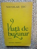 Nicolae Tic - Viata de buzunar