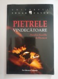 PIETRELE VINDECATOARE - Dorothee Koechlin de Bizemont