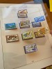 Album Lindner Germania Berlin 1948-1980 - cu timbre nestampilate MNH