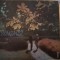Disc Vinil Romanțe-Electrecord-EPE 0511