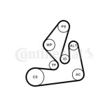 Continental Ctam Set curea transmisie cu caneluri