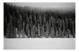 Tablou Canvas, "Pădurea adormită sub mantia alba", Nor, Zăpadă, Pădure, Calm, Iarnă, 39 x 26 cm, CMCLASS