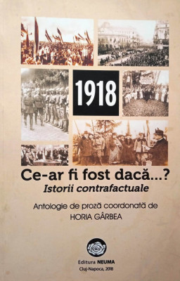 CE-AR FI FOST, DACĂ?... - HORIA G&amp;Acirc;RBEA foto