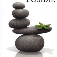 Cand imposibilul devine posibil | Robert Anthony