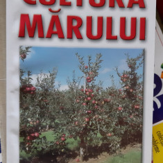 Cultura marului - L. Chira, I. Pascu