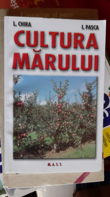 Cultura marului - L. Chira, I. Pascu foto