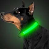 Zgarda reglabila LED pt caini sau animale de companie,VERDE,S