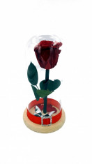 Trandafir Criogenat Wide Flowers 6,5cm in cupola sticla de 19cm foto