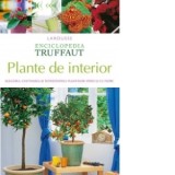 Plante de interior. Alegerea, cultivarea si intretinerea plantelor verzi si cu flori - Doina Pienescu