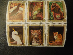 Serie timbre fauna animale stampilate Guinea Ecuatoriala timbre postale foto