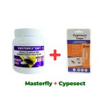 Insecticid, fara miros, impotriva mustelor Masterfly Bait 125 gr + Insecticid concentrat Cypesect Caps 10 ml, fara miros, eficient contra gandacilor,