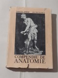 MIRCEA IFRIM \ GH.NICULESCU - COMPENDIU DE ANATOMIE