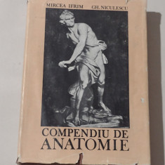 MIRCEA IFRIM \ GH.NICULESCU - COMPENDIU DE ANATOMIE