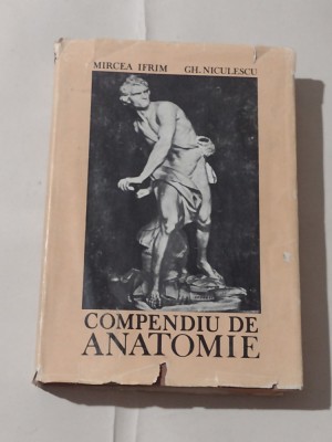 MIRCEA IFRIM \ GH.NICULESCU - COMPENDIU DE ANATOMIE foto
