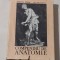 MIRCEA IFRIM \ GH.NICULESCU - COMPENDIU DE ANATOMIE
