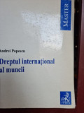 Dreptul international al muncii - Andrei Popescu