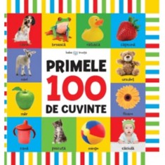 Bebe Invata. Primele 100 De Cuvinte foto