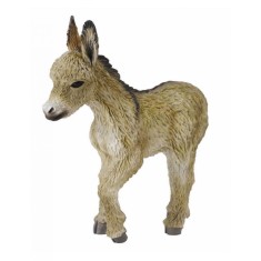 Manz mergand - Collecta