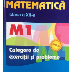 Marius Burtea - Matematică clasa a XII-a - Culegere de exerciții și probleme (editia 2008)