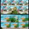 Bulgaria 2024 - Europa Cept - Fauna si flora - peşte - 2 M/S MNH