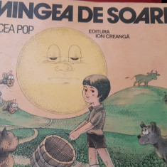 MINGEA DE SOARE MIRCEA POP