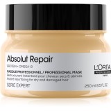 L&rsquo;Or&eacute;al Professionnel Serie Expert Absolut Repair masca profund reparatorie pentru păr uscat și deteriorat 250 ml