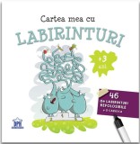 Cartea mea cu labirinturi (+3 ani) - DPH