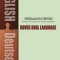Demian: A Dual-Language Book