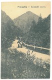 5739 - PETROSANI, Valea Jiului, Gorj, Pasul SURDUC, Romania - old postcard - unused