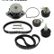 SKF VKMC 01122 Set pompa apa + curea dintata