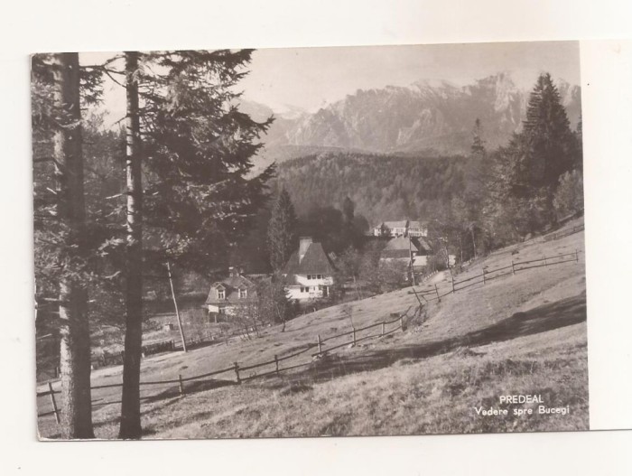 RF68 -Carte Postala- Predeal, vedere spre Bucegi, circulata 1960