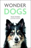 Wonder Dogs - true Stories of Canine Courage | Ben Holt, Summersdale Publishers