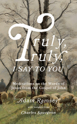 Truly, Truly, I Say to You: Meditations on the Words of Jesus from the Gospel of John foto