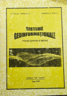 Sisteme Geoinformationale - Nicolae Popovici, Gabriela Biali ,560162 foto