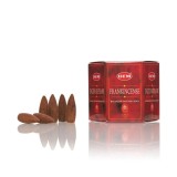 Cumpara ieftin Conuri parfumate Backflow - 40 Buc - Frankincense