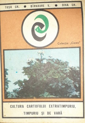 CULTURA CARTOFULUI EXTRATIMPURIU,TIMPURIU SI DE VARA foto