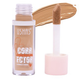 Concealer Corector Ushas #03