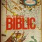 Mic dictionar biblic- Magdalena Timar, Constantin Olariu