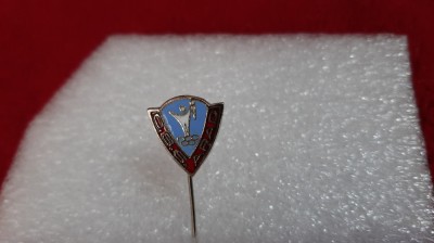 Insigna CSS Arad foto