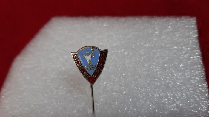 Insigna CSS Arad